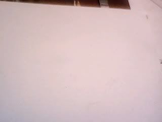 colores colores