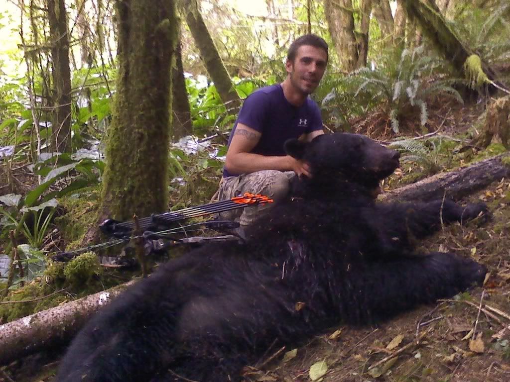 Best Broadheads for Black Bear?? Archery Talk Forum