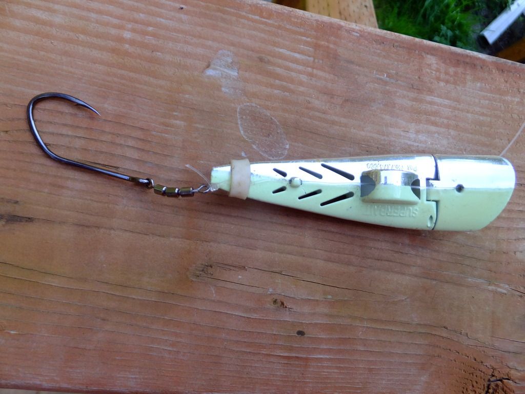 mooching rig set up for brad's cut plug