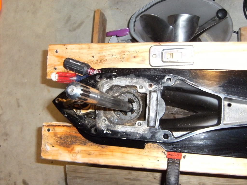 DSCF1662.jpg