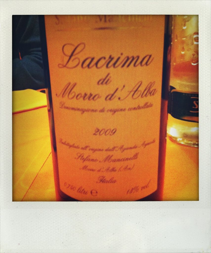 Lacrima di Morro d'Alba 2009, Stefano Mancinelli, Uploaded from the Photobucket iPhone App