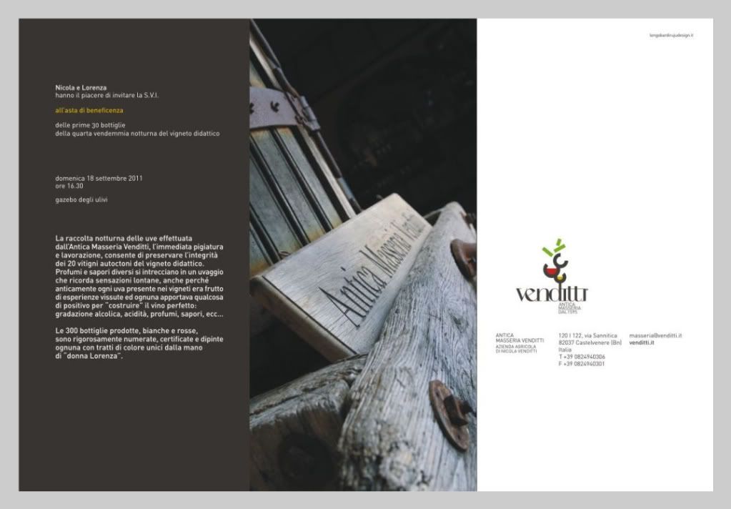 nicola venditti,antica masseria venditti,vini campania,raccolta e racconti di vino notturno,vendemmia notturna,isola di cultura del vino,vigneto didattico,vini venditti