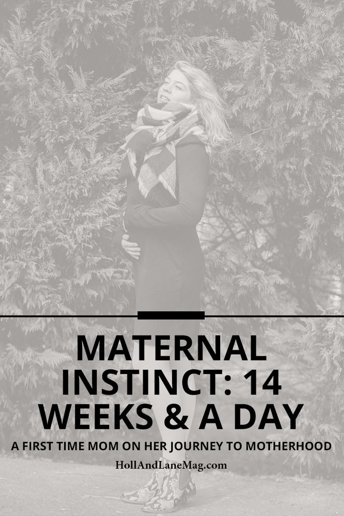 Pregnancy | Miscarriage | Motherhood | Family