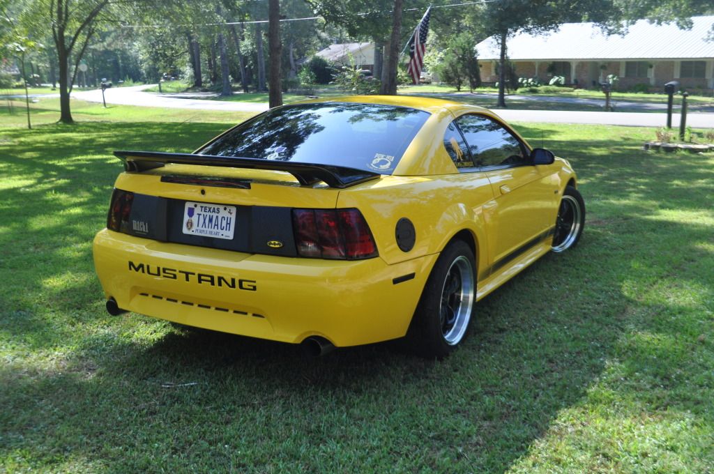 Saleen S281 Wing