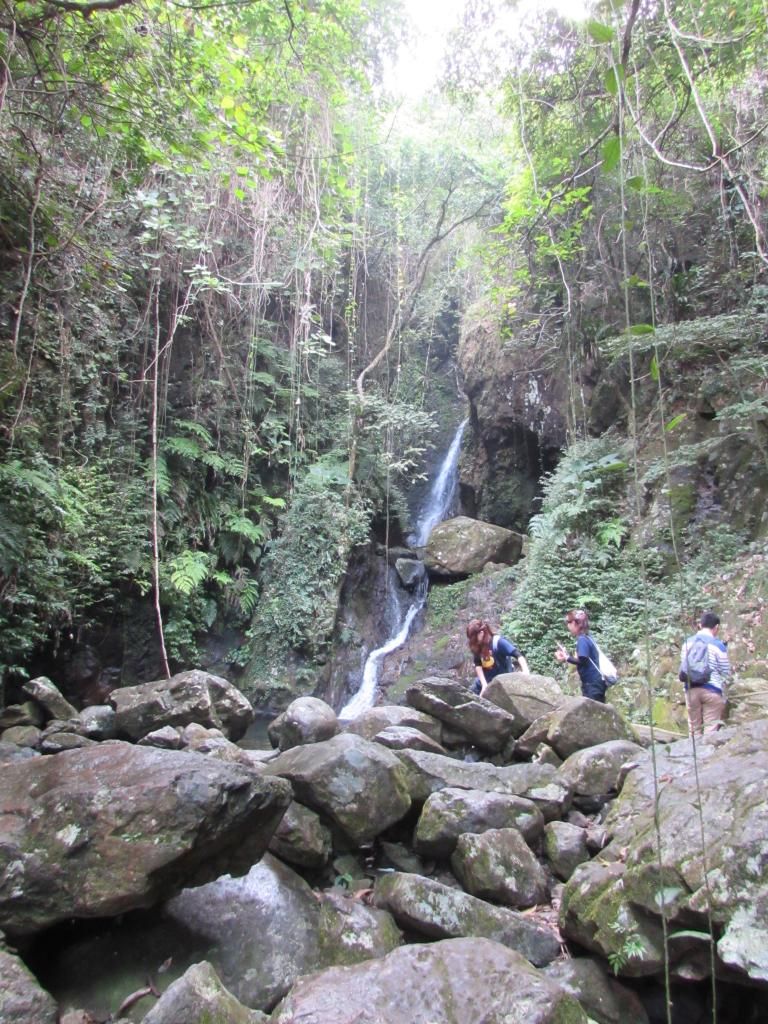 Достопримечательности Гонконга