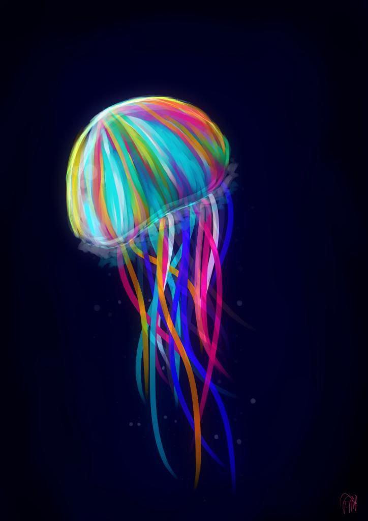 jellyfishasdoneyay_zpsdd913b3f.jpg