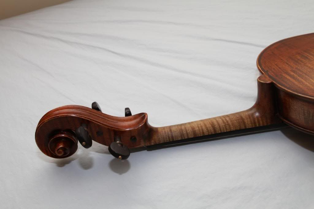 Neck and Scroll