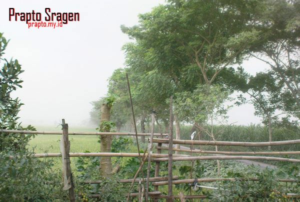 badai abu vulkanik Badai Abu terjadi sesaat sebelum hujan air turun