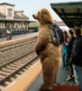 photo 1060727c-82b7-4a66-968a-d2574e39ddb9_zps9459f0f7.jpg