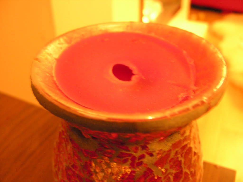 DSCN4203.jpg