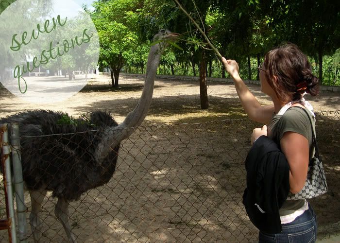 Emu And Ostrich