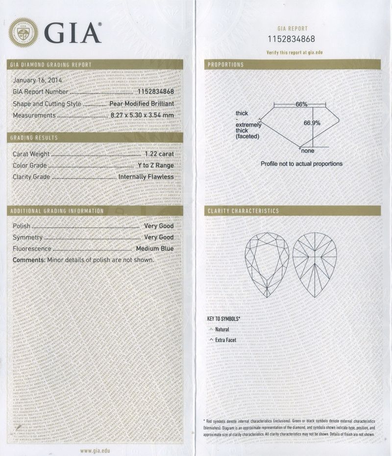 GIA Report gia report