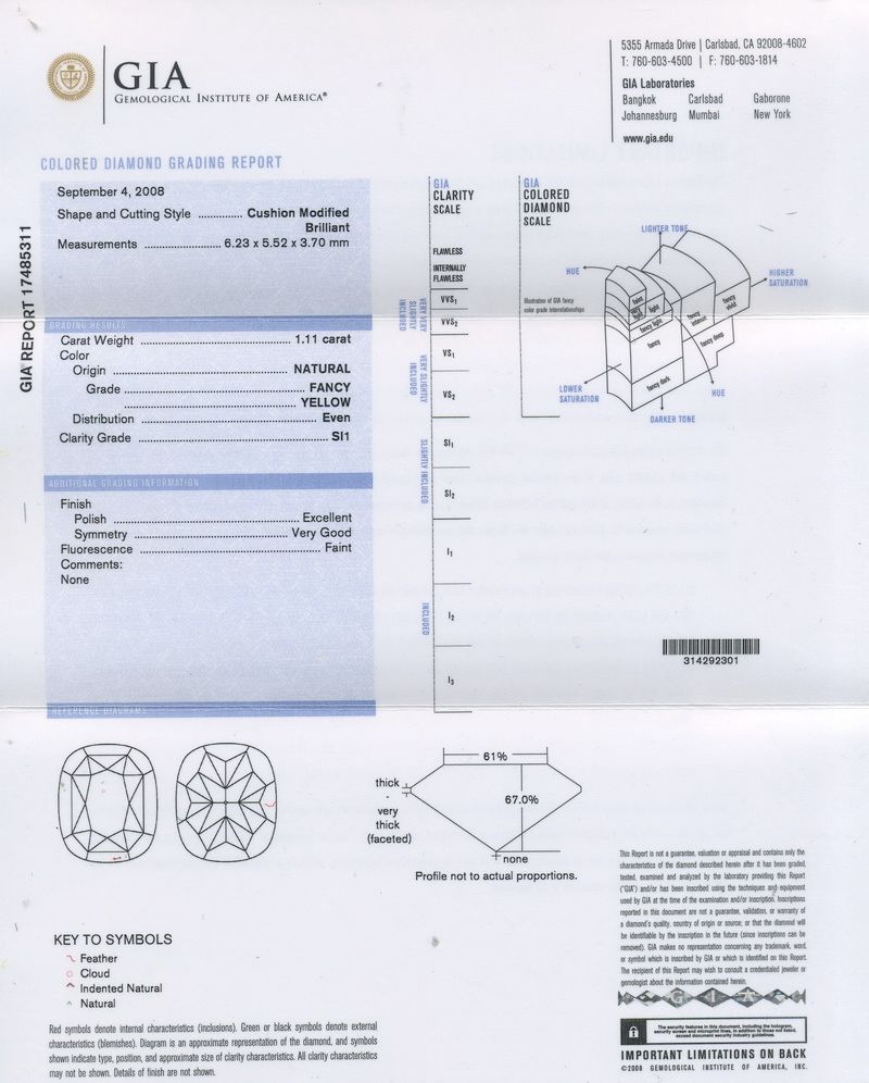 GIA Report gia report