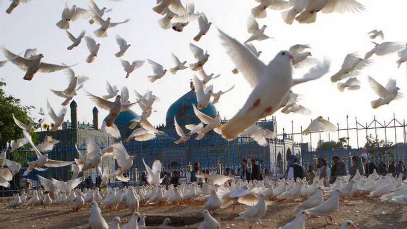 236410xcitefun blue mosque 17 - Blue Mosque of Mazar Sharif Afghanistan