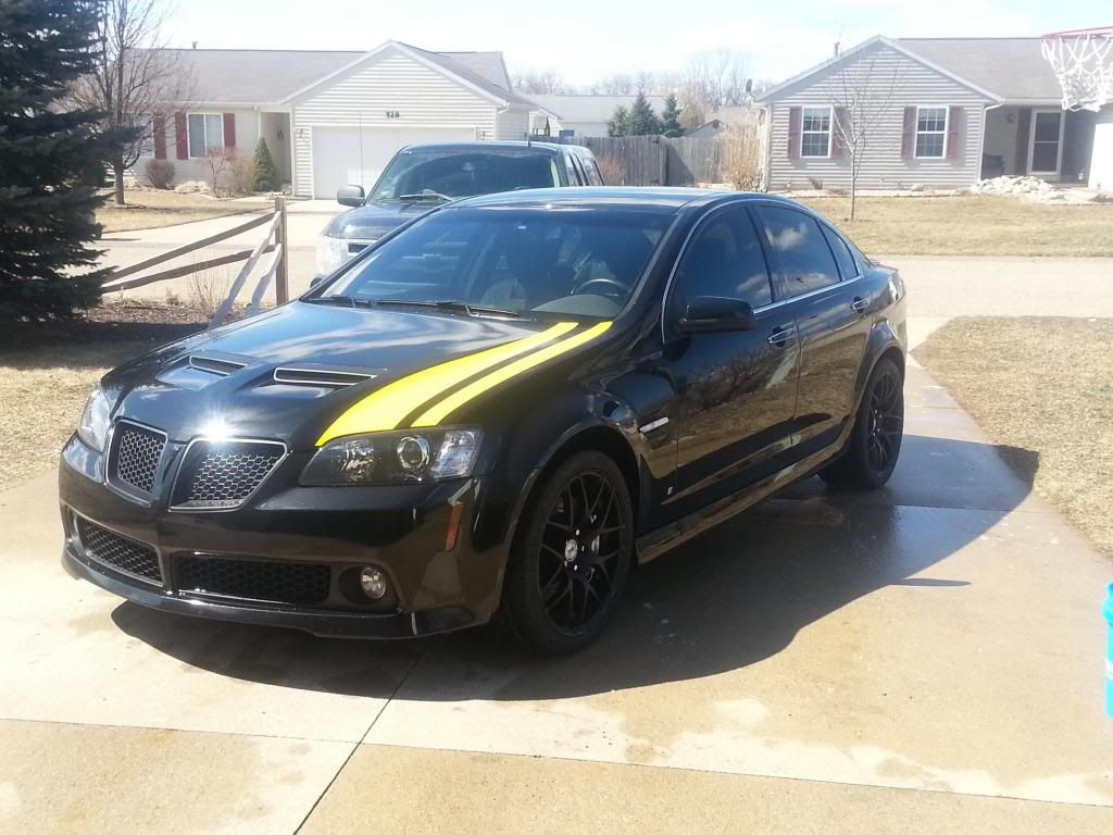 Where to buy Bathurst stripe? Or dimensions? Pontiac G8 Forum