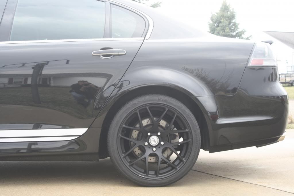 Where to buy Bathurst stripe? Or dimensions? Pontiac G8 Forum G8