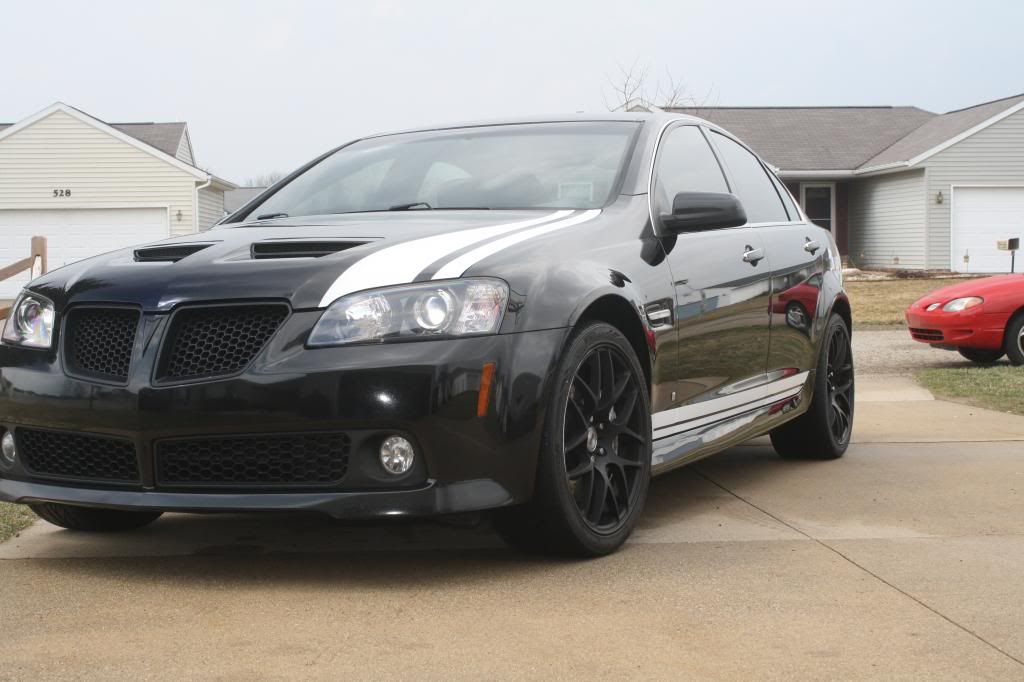Where to buy Bathurst stripe? Or dimensions? Pontiac G8 Forum