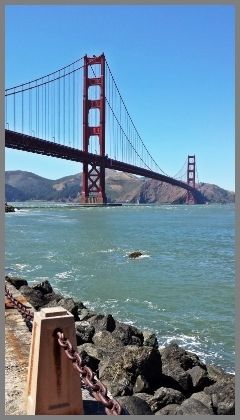If you´re going to San Francisco… - Costa Oeste de Estados Unidos 2014 (14)