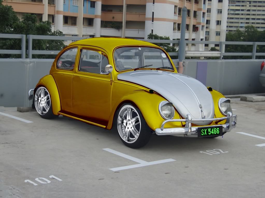 [Image: Beetle1.jpg]