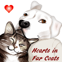  Hearts in Fur Coats 