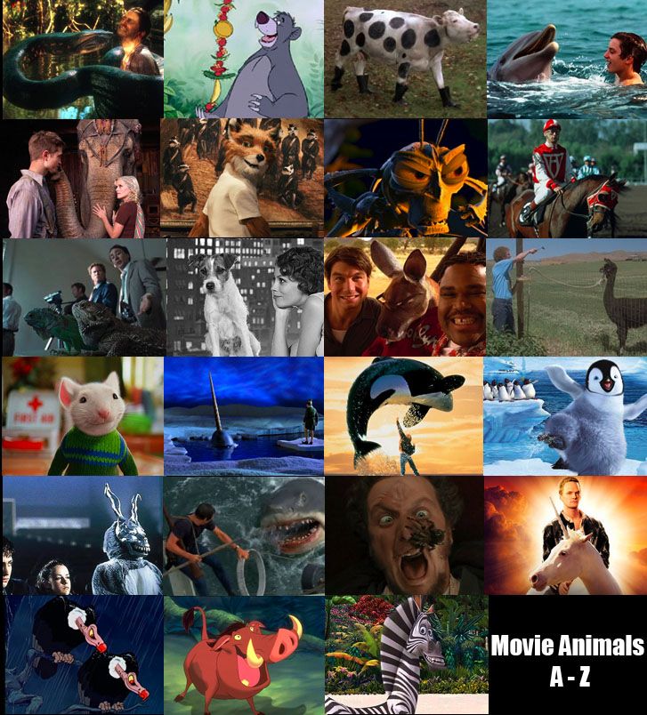 Animals go from A - Z except