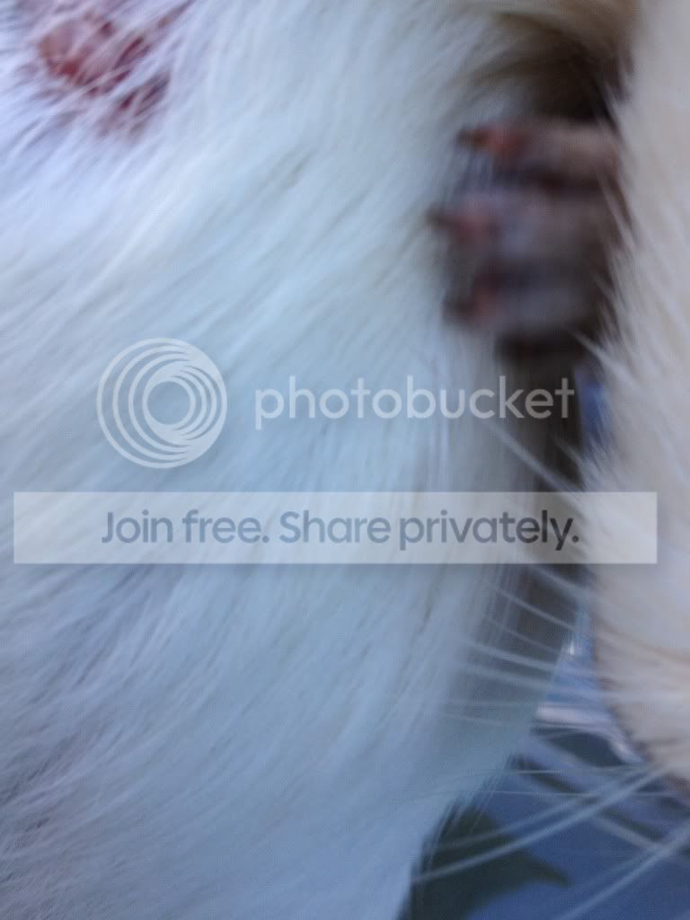IMG_0660_zps91c76fe4.jpg