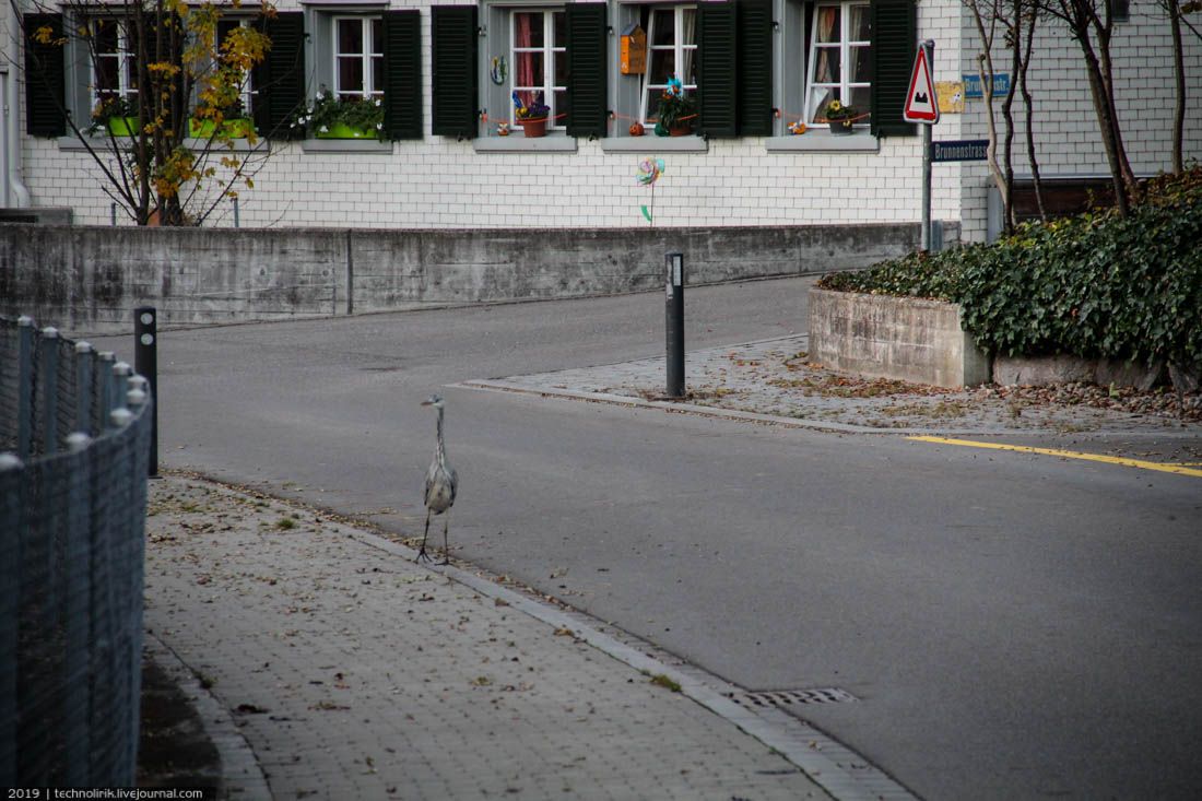 Festungsgürtel Kreuzlingen Festungsgürtel Kreuzlingen бункера, бункер, пояса, Кройцлингена, вокруг, можно, солдат, имеет, Швейцарии, укреплений, также, этого, бункеров, швейцарцы, линии, карте, противотанковые, время, заграждения, порядковый