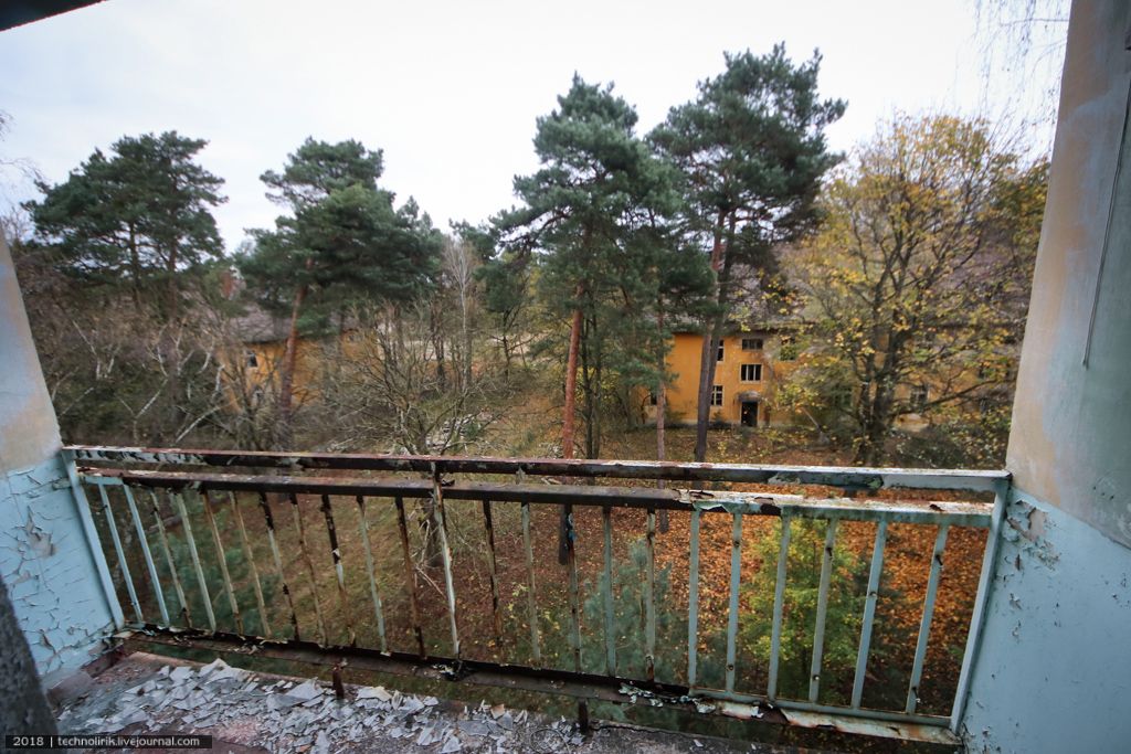 The view from the balcony of the “cockpit” – the encroaching pine forest and the historic buildings of the Adolf Hitler camp. ©technolirik@livejournal.com