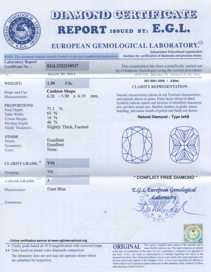 egl report