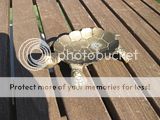 Vintage Solid Brass Turtle Soap Dish 4 1/2  