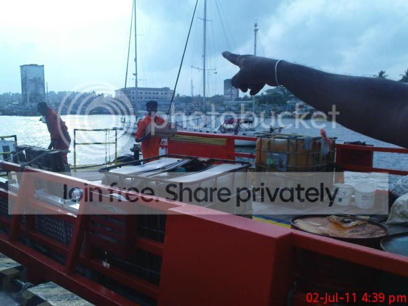 Image33.jpg