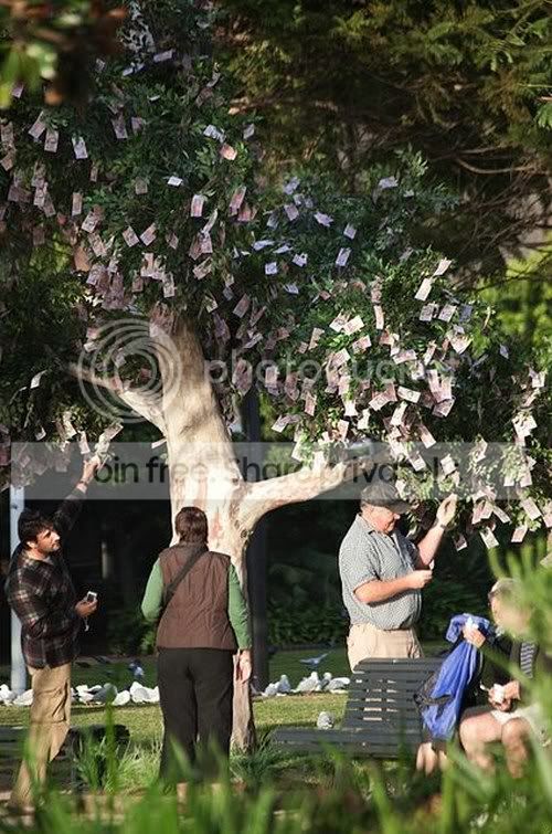 The-tree-growing-money-002.jpg