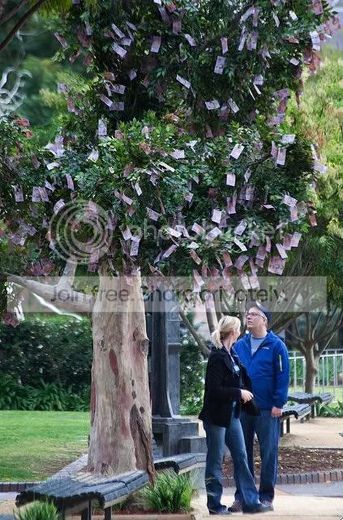 The-tree-growing-money-003.jpg