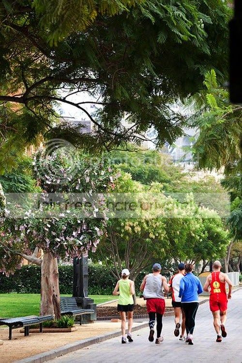 The-tree-growing-money-004.jpg