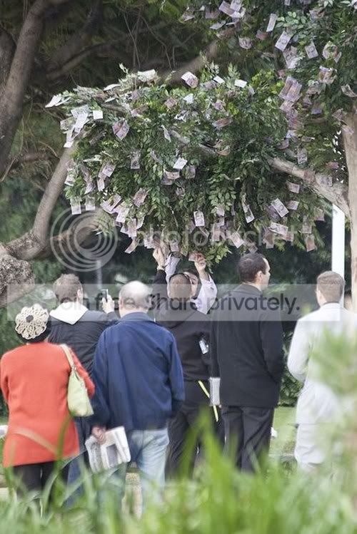 The-tree-growing-money-006.jpg